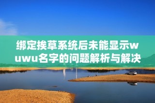 绑定挨草系统后未能显示wuwu名字的问题解析与解决方案