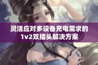 灵活应对多设备充电需求的1v2双插头解决方案