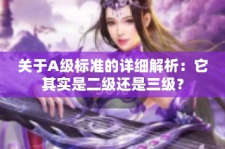 关于A级标准的详细解析：它其实是二级还是三级？