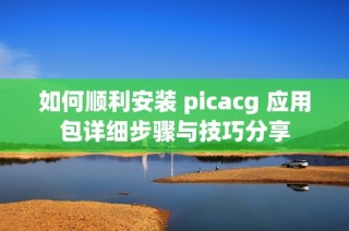 如何顺利安装 picacg 应用包详细步骤与技巧分享