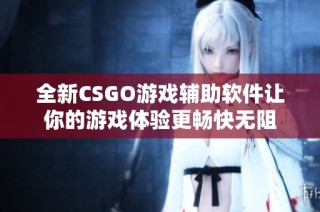 全新CSGO游戏辅助软件让你的游戏体验更畅快无阻