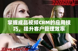 掌握成品视频CRM的应用技巧，提升客户管理效率