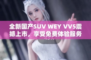 全新国产SUV WEY VV5震撼上市，享受免费体验服务