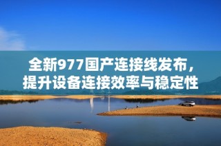 全新977国产连接线发布，提升设备连接效率与稳定性