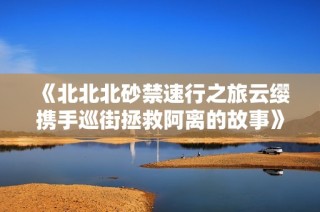 《北北北砂禁速行之旅云缨携手巡街拯救阿离的故事》