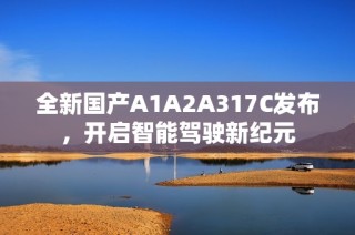 全新国产A1A2A317C发布，开启智能驾驶新纪元