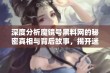 深度分析魔镜号黑料网的秘密真相与背后故事，揭开迷你手的神秘面纱