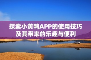 探索小黄鸭APP的使用技巧及其带来的乐趣与便利