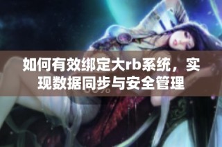 如何有效绑定大rb系统，实现数据同步与安全管理