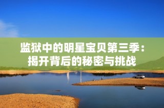 监狱中的明星宝贝第三季：揭开背后的秘密与挑战