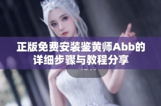 正版免费安装鉴黄师Abb的详细步骤与教程分享