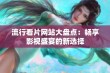 流行看片网站大盘点：畅享影视盛宴的新选择