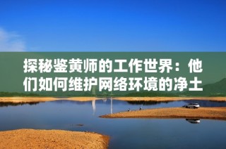 探秘鉴黄师的工作世界：他们如何维护网络环境的净土