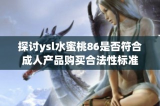 探讨ysl水蜜桃86是否符合成人产品购买合法性标准