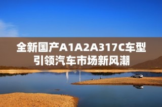 全新国产A1A2A317C车型引领汽车市场新风潮