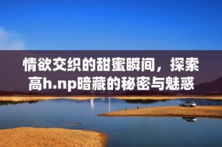 情欲交织的甜蜜瞬间，探索高h.np暗藏的秘密与魅惑