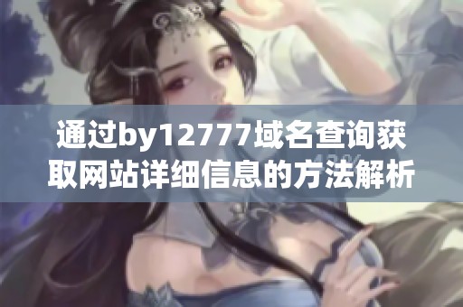 通过by12777域名查询获取网站详细信息的方法解析