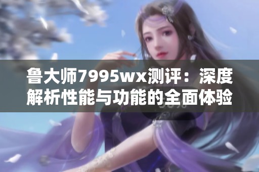 鲁大师7995wx测评：深度解析性能与功能的全面体验