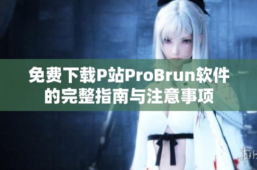 免费下载P站ProBrun软件的完整指南与注意事项