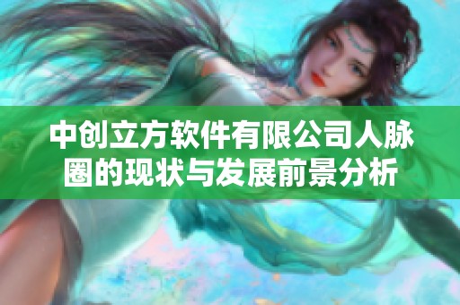 中创立方软件有限公司人脉圈的现状与发展前景分析