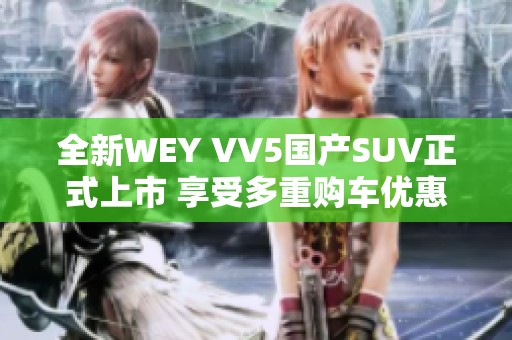 全新WEY VV5国产SUV正式上市 享受多重购车优惠政策