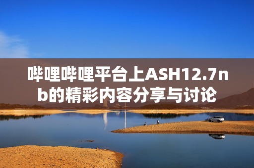 哔哩哔哩平台上ASH12.7nb的精彩内容分享与讨论