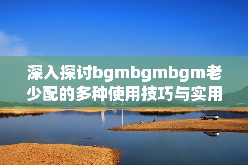 深入探讨bgmbgmbgm老少配的多种使用技巧与实用方法