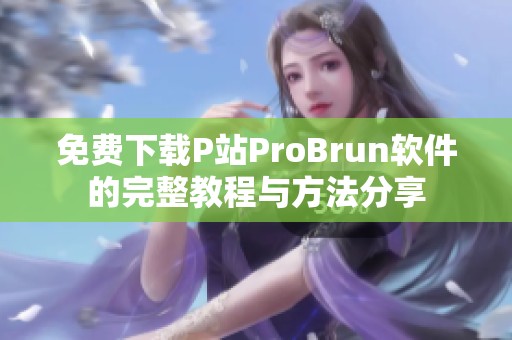 免费下载P站ProBrun软件的完整教程与方法分享