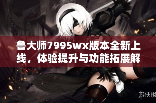 鲁大师7995wx版本全新上线，体验提升与功能拓展解读