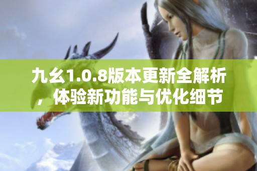 九幺1.0.8版本更新全解析，体验新功能与优化细节