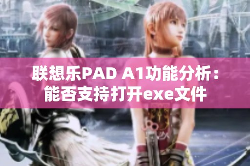 联想乐PAD A1功能分析：能否支持打开exe文件