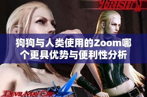 狗狗与人类使用的Zoom哪个更具优势与便利性分析