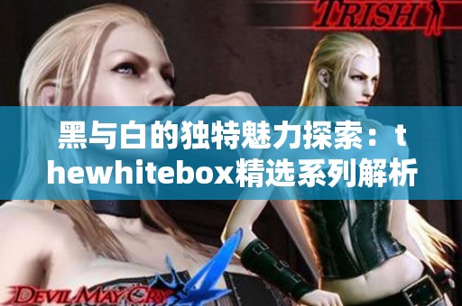 黑与白的独特魅力探索：thewhitebox精选系列解析