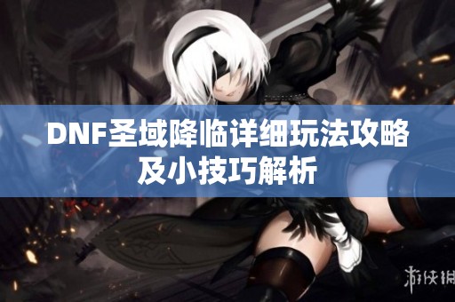 DNF圣域降临详细玩法攻略及小技巧解析