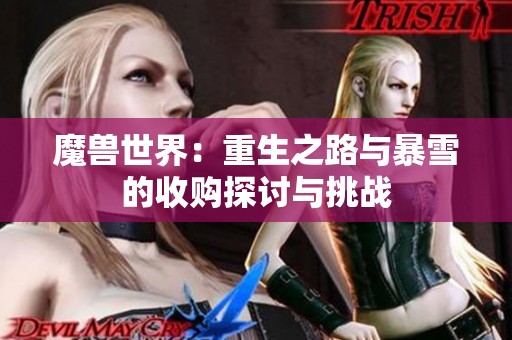 魔兽世界：重生之路与暴雪的收购探讨与挑战