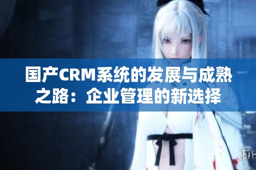 国产CRM系统的发展与成熟之路：企业管理的新选择