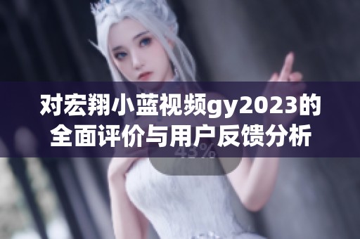 对宏翔小蓝视频gy2023的全面评价与用户反馈分析