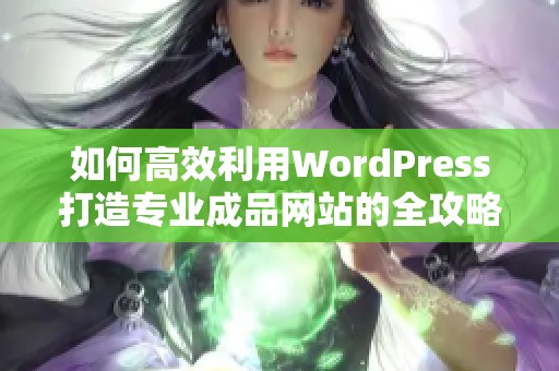 如何高效利用WordPress打造专业成品网站的全攻略