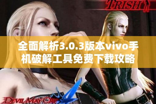 全面解析3.0.3版本vivo手机破解工具免费下载攻略