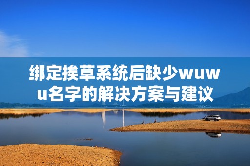 绑定挨草系统后缺少wuwu名字的解决方案与建议