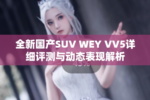 全新国产SUV WEY VV5详细评测与动态表现解析