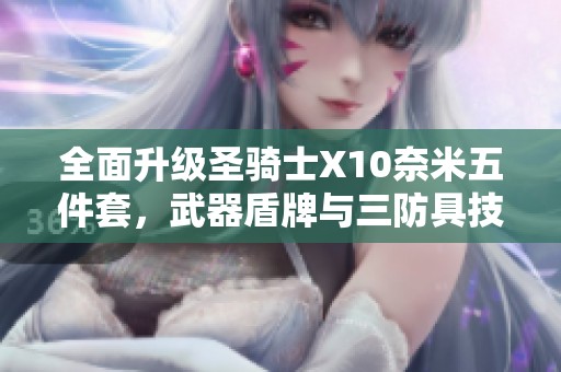 全面升级圣骑士X10奈米五件套，武器盾牌与三防具技能完美洗炼