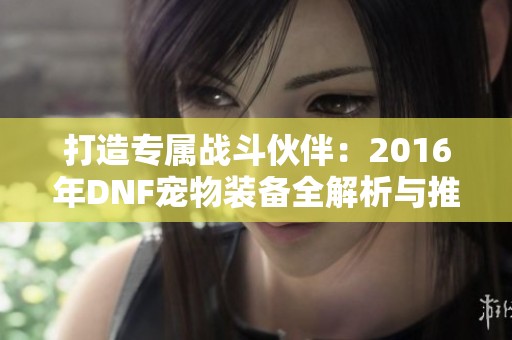 打造专属战斗伙伴：2016年DNF宠物装备全解析与推荐