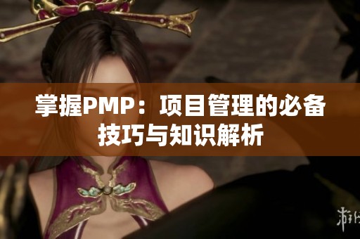 掌握PMP：项目管理的必备技巧与知识解析