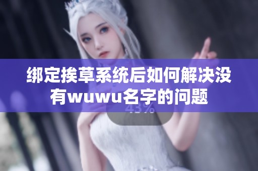 绑定挨草系统后如何解决没有wuwu名字的问题