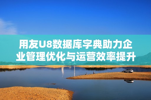 用友U8数据库字典助力企业管理优化与运营效率提升