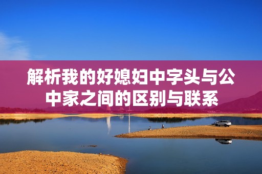 解析我的好媳妇中字头与公中家之间的区别与联系