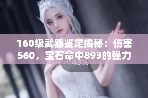 160级武器鉴定揭秘：伤害560，宝石命中893的强力搭配分析