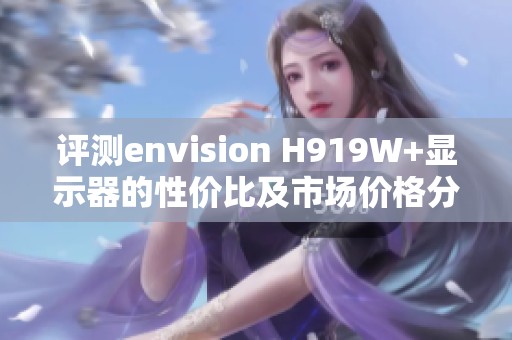 评测envision H919W+显示器的性价比及市场价格分析