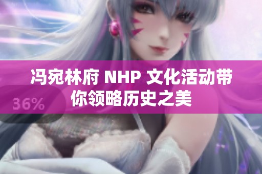 冯宛林府 NHP 文化活动带你领略历史之美